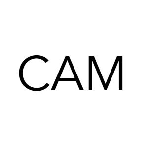 Cam