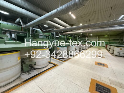 Trützschler Carding14